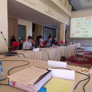 أشغال اللجنة الإقليمية للتنمية الاقتصادية بمقر عمالة إقليم شيشاوة